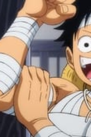 One Piece Season 21 Episode 1079 - Poster