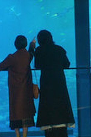 Nevertheless: The Shapes of Love Season 1 Episode 3 - Poster