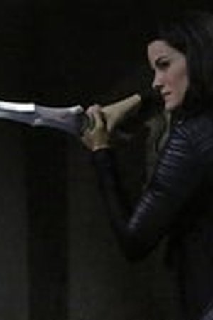 Marvel's Agents of S.H.I.E.L.D. Season 2 Episode 12 - Poster