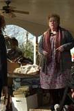 Under the Dome Season 1 Episode 1 - Poster